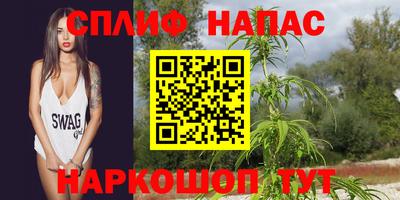 МДПВ Старая Купавна